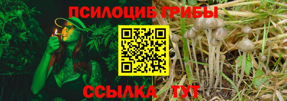 Галлюциногенные грибы ЛСД Похвистнево